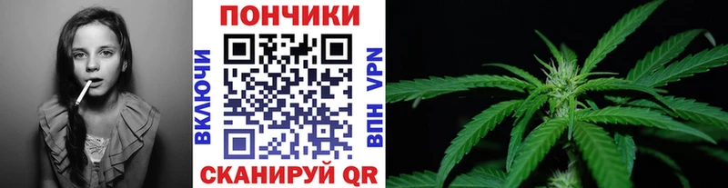 где купить   Анива  МАРИХУАНА планчик 